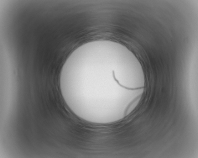 X0000114220284200910091055