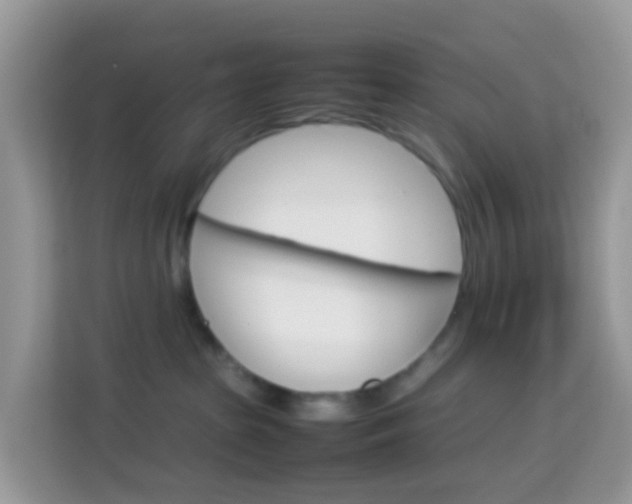 X0000114220285200910091055