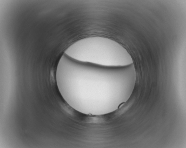 X0000114220286200910091055