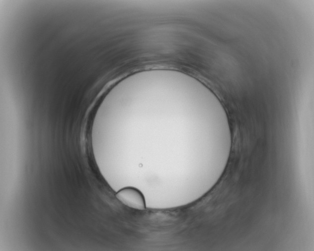X0000114220290200910091054