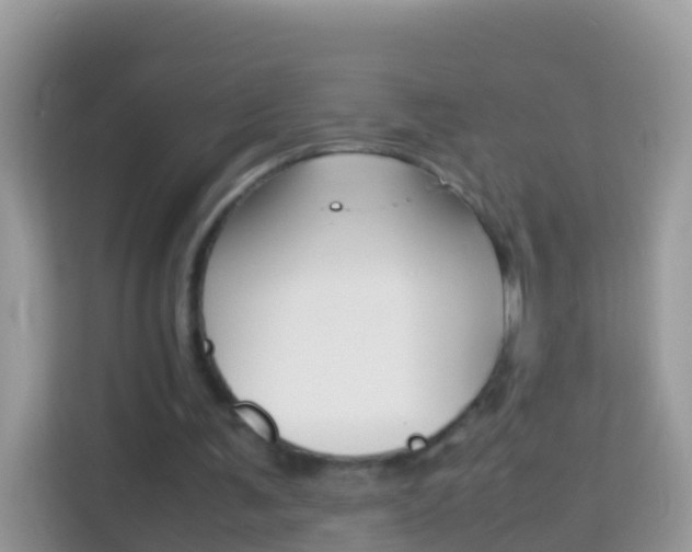 X0000114220291200910091054