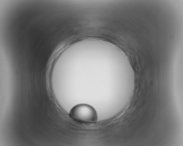 X0000114220293200910091054