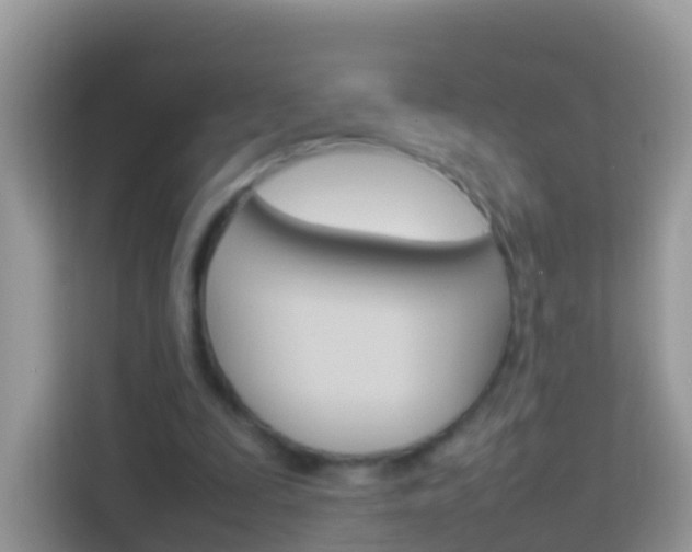 X0000114220295200910091054