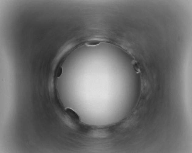 X0000114220296200910091054