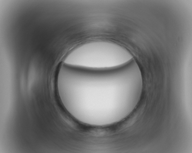 X0000114220299200910091054