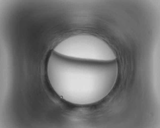 X0000114220303200910091054