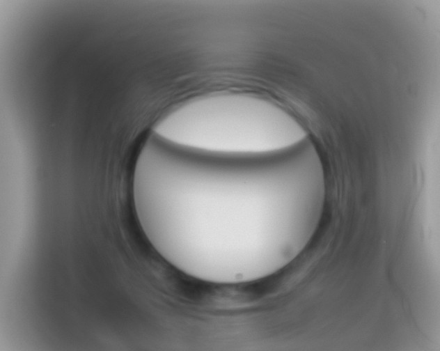 X0000114220315200910091054