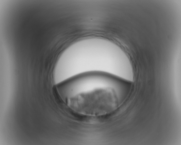 X0000114220325200910091054
