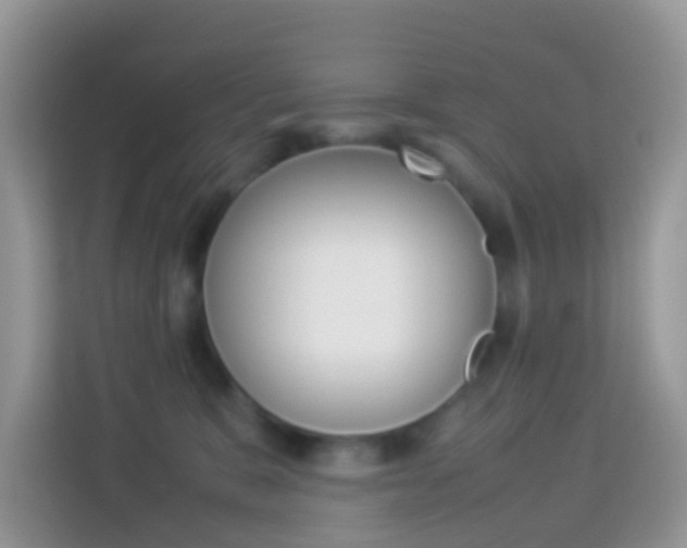 X0000114220327200910091054
