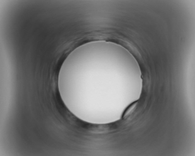 X0000114220329200910091054
