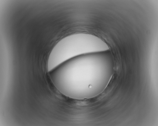 X0000114220332200910091054