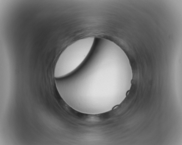 X0000114220335200910091054