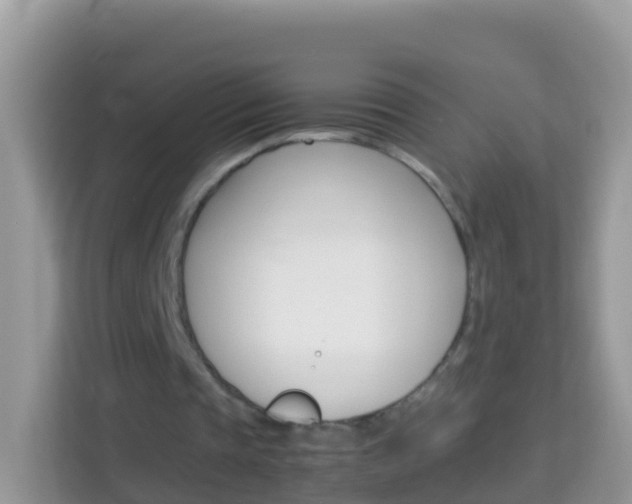 X0000114220337200910091053