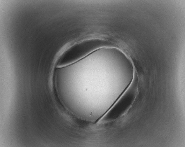 X0000114220340200910091053