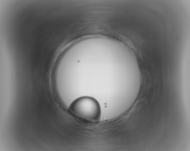 X0000114220344200910091053