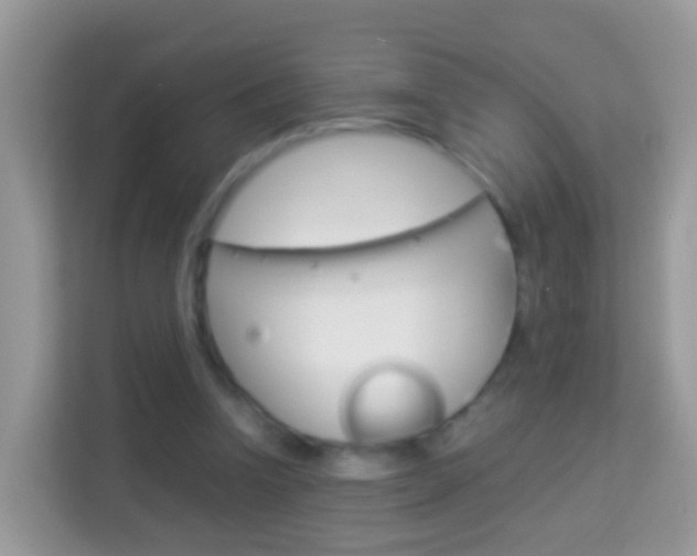 X0000114220346200910091053