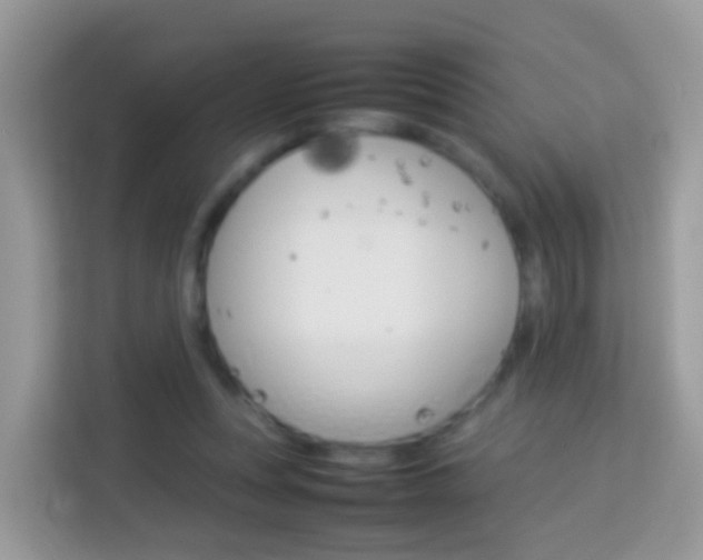 X0000114220351200910091053