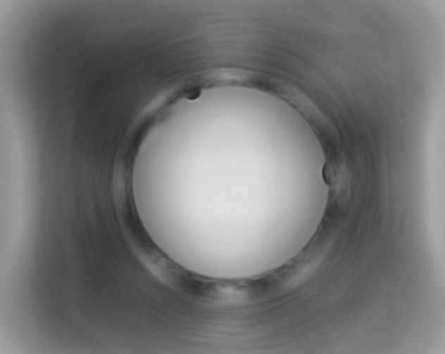 X0000114220352200910091053