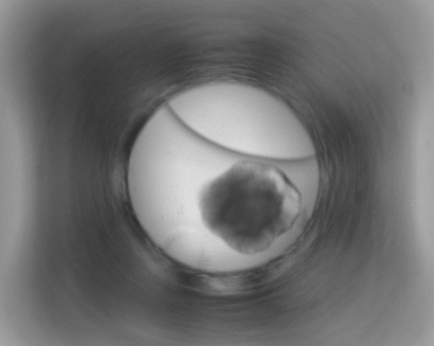 X0000114220359200910091053