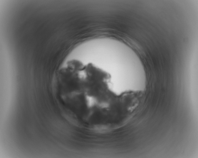 X0000114220373200910091054