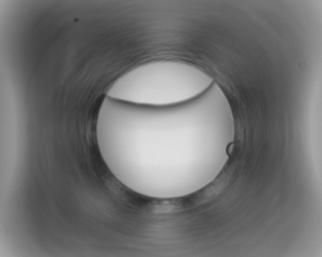 X0000114220378200910091054