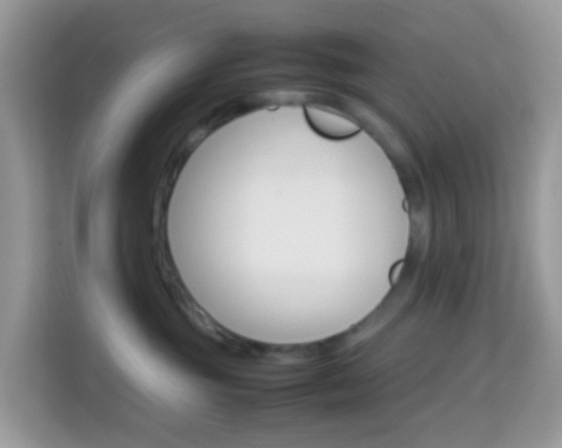 X0000114220381200910091054