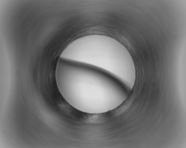X0000114220382200910091054