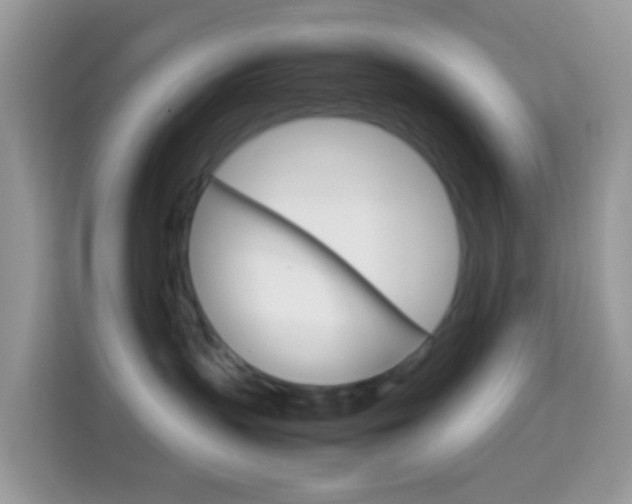X0000114220383200910091054