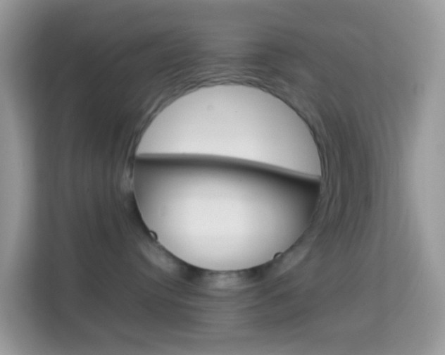 X0000114220384200910091054