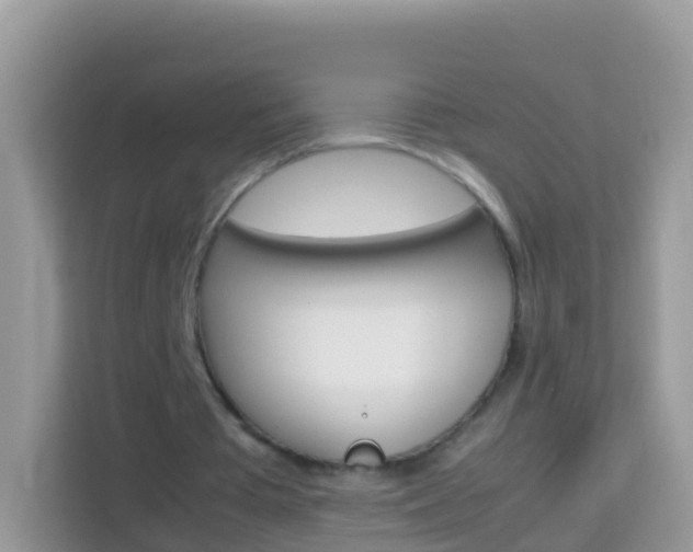 X0000114220385200910091053