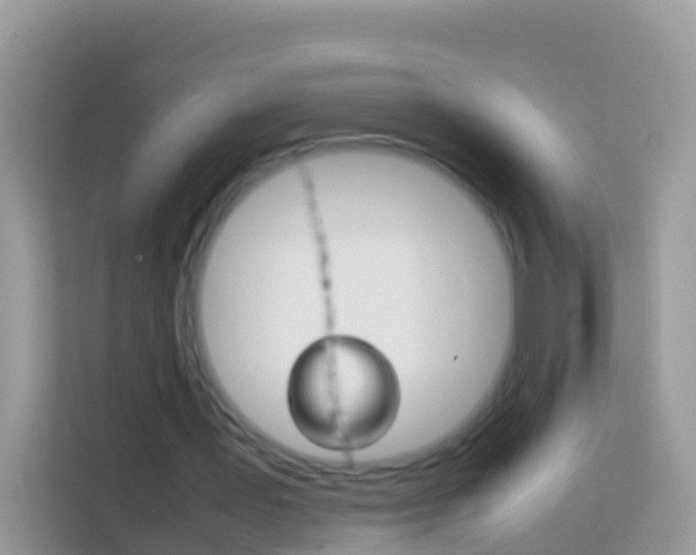 X0000114220387200910091053