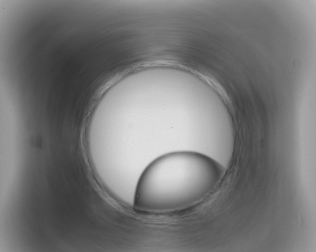 X0000114220389200910091053