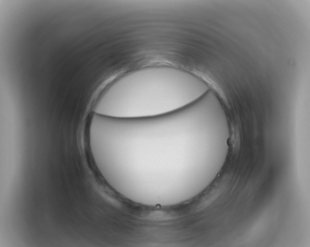 X0000114220390200910091053