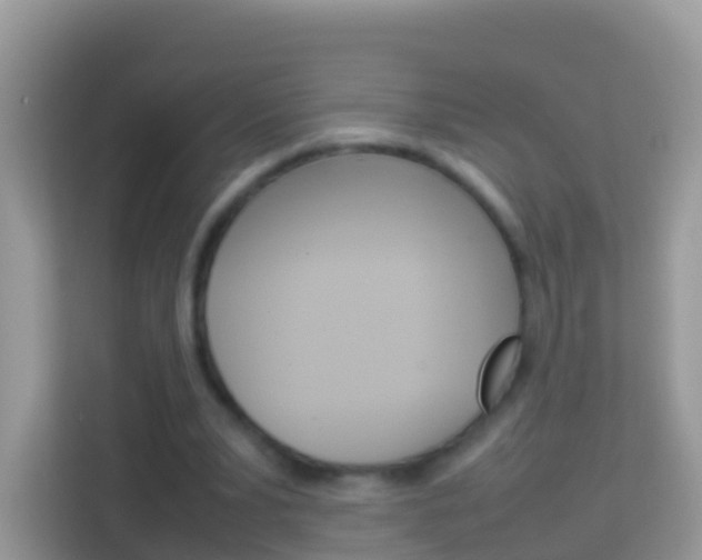 X0000114220391200910091053