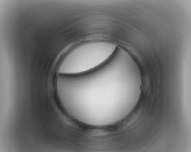X0000114220392200910091053
