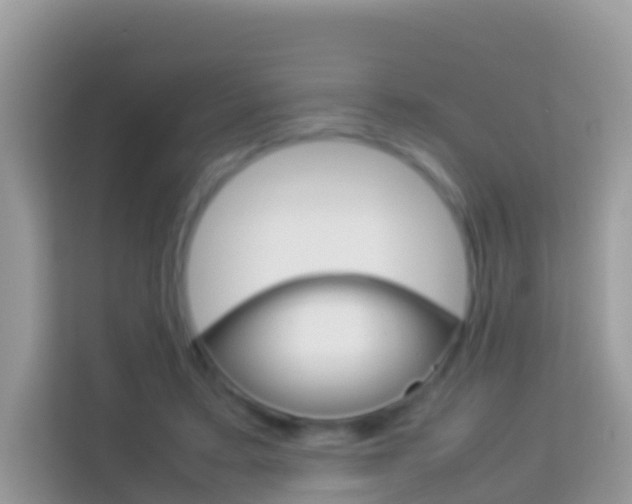 X0000114220403200910091053