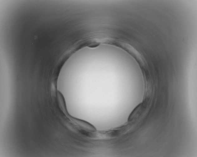 X0000114220405200910091053