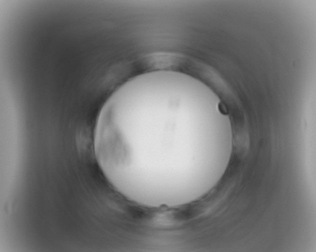 X0000114220411200910091053