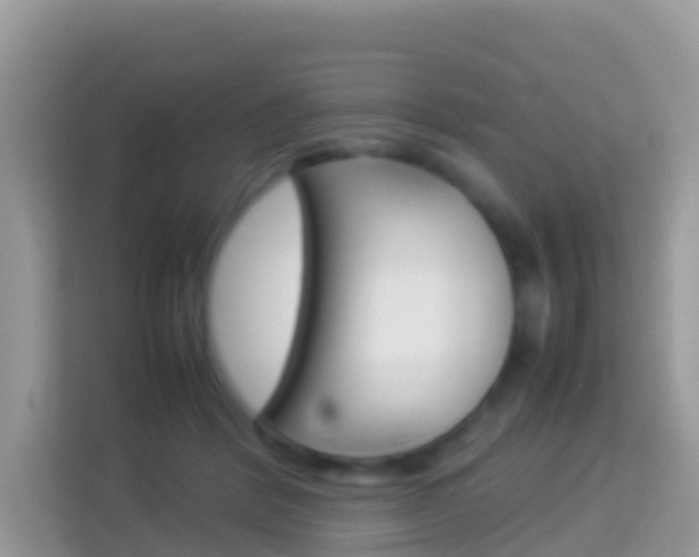 X0000114220412200910091053