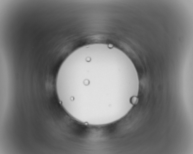 X0000114220423200910091053