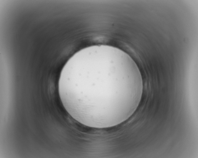 X0000114220424200910091053