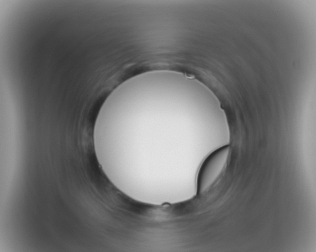 X0000114220425200910091053