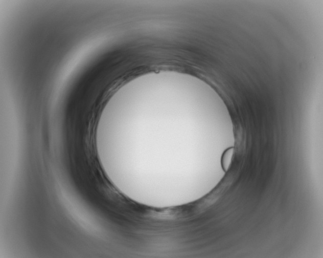 X0000114220430200910091052