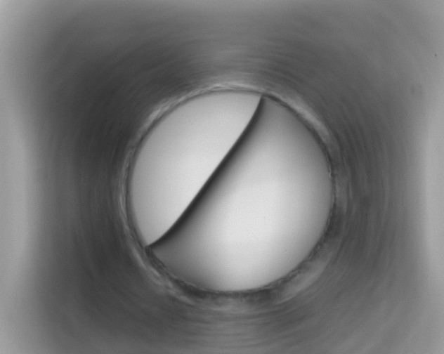 X0000114220434200910091052