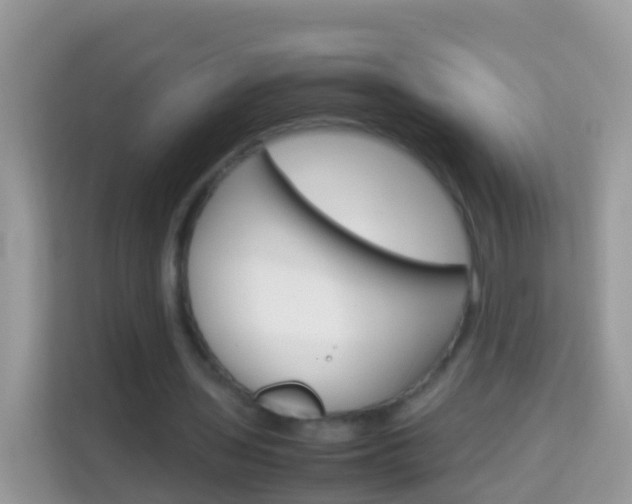 X0000114220435200910091052