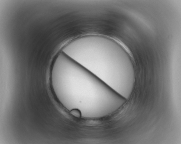 X0000114220437200910091052