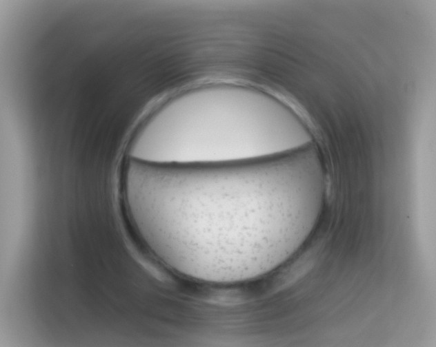 X0000114220438200910091052
