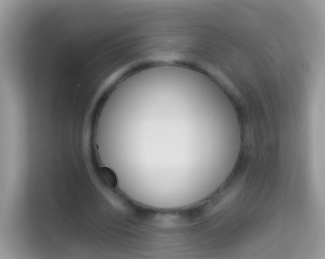 X0000114220440200910091052