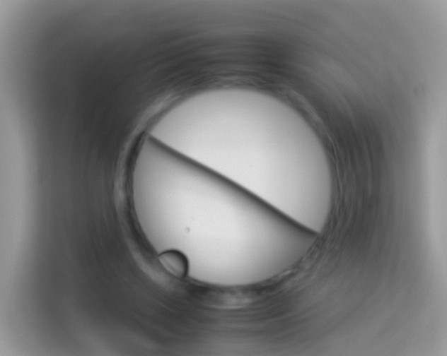 X0000114220443200910091052