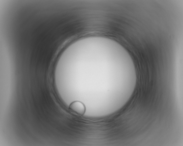 X0000114220444200910091052